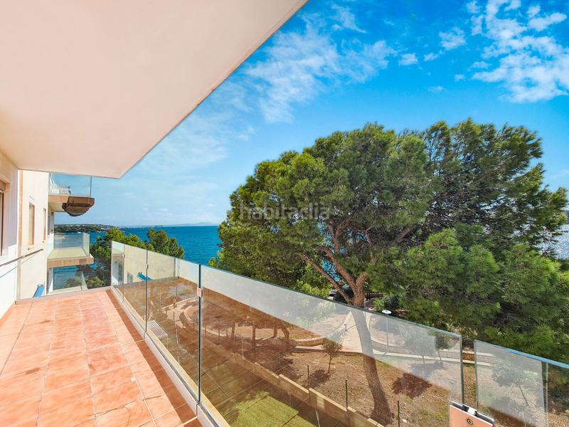 Foto 17bd00bc-de3d-4534-9785-d529197a42e9. Piccolo appartamento in Palmanova Calvià