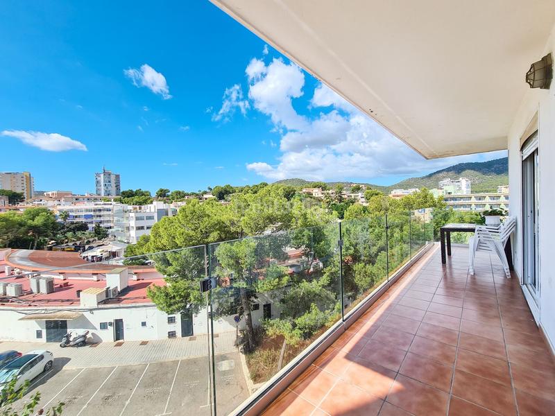 Foto 34a5b542-f8d6-4d88-99c8-eac98fc16420. Piccolo appartamento in Palmanova Calvià