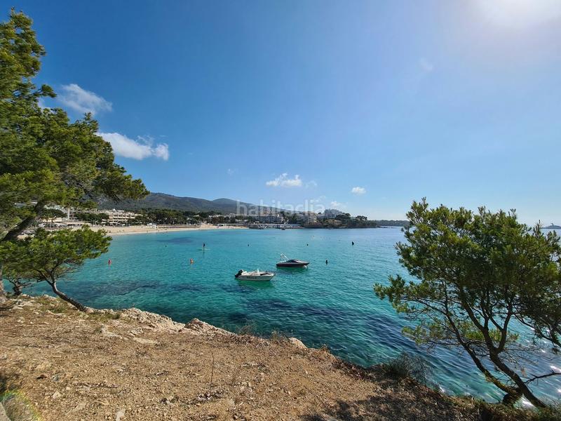 Foto a691c6d2-db89-4c68-ba19-33dd0b5a4e3f. Piccolo appartamento in Palmanova Calvià