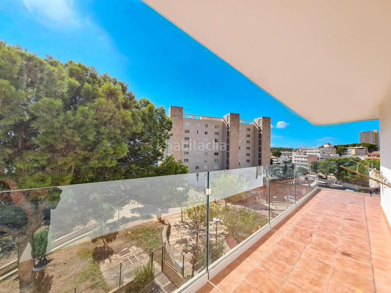 Foto c1f458dc-503b-4c32-bd4e-ffa86dd3b834. Piccolo appartamento in Palmanova Calvià