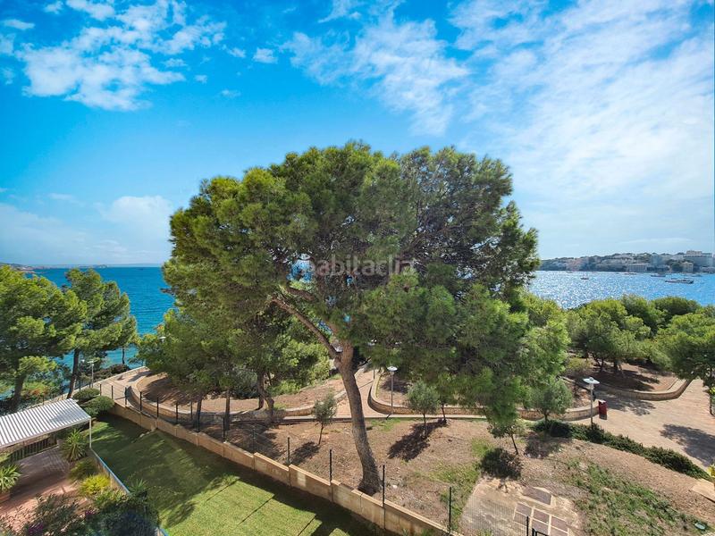 Foto c268e0b8-02b2-452c-a87d-4517a0046175. Piccolo appartamento in Palmanova Calvià