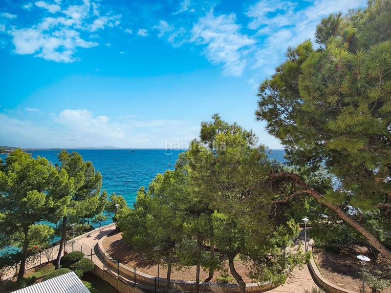 Foto d8b2f24b-94f3-491d-9d46-11ab523ccdf5. Piccolo appartamento in Palmanova Calvià