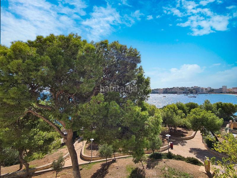 Foto e1cf2f6a-5e9c-42a6-b423-4bdc1f70378a. Piccolo appartamento in Palmanova Calvià