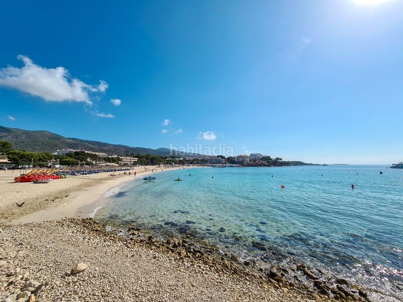 Foto ec45166b-f7c2-4ff8-91d3-b5d6a31f41ec. Piccolo appartamento in Palmanova Calvià