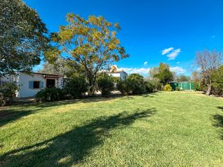 Rent Semi detached house in Son Espanyol. Maravillosa finca con gran jardín privado y casa de invitados en