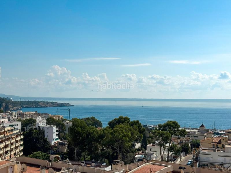 Foto 118505a8-422a-4667-a112-95d8f8583a28. Location attique dans Sant Agustí Palma de Mallorca