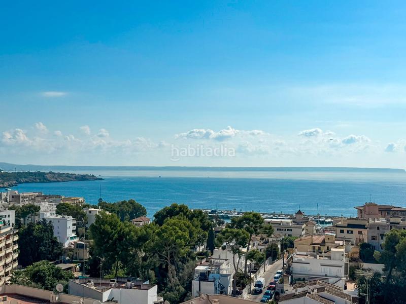 Foto 6d70a193-ba8c-4363-bdce-df3e99b96ae2. Location attique dans Sant Agustí Palma de Mallorca