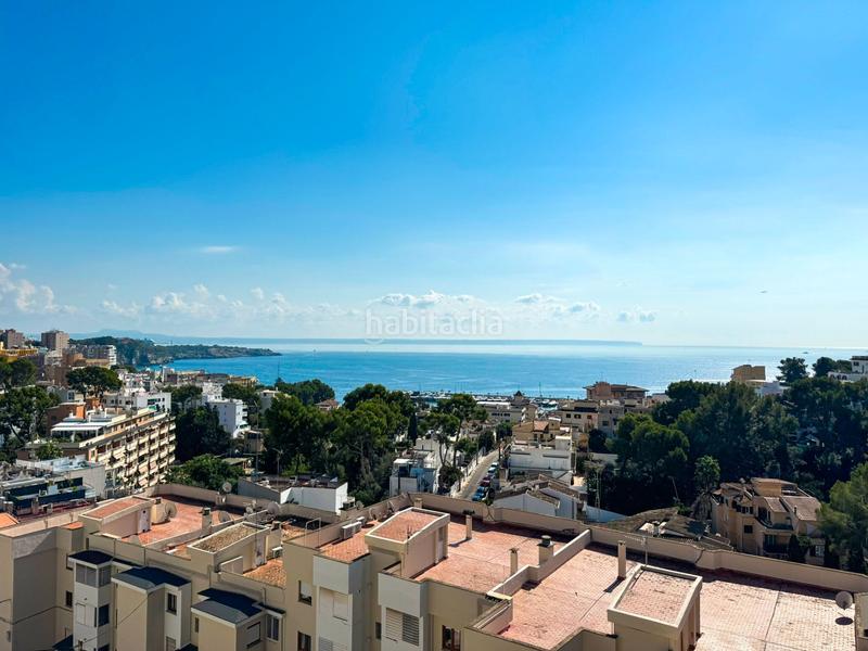 Foto 93333c7c-4ecc-480d-9e31-422049c8851a. Location attique dans Sant Agustí Palma de Mallorca