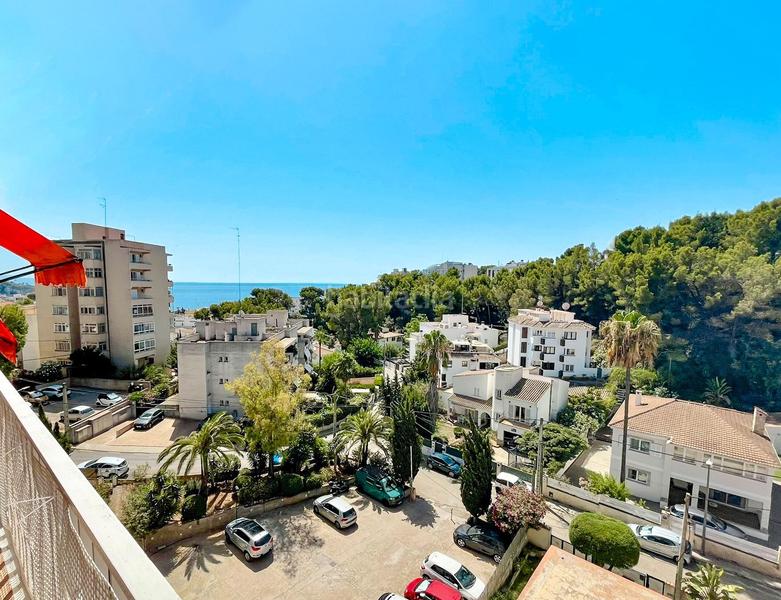 Foto 49a10b5f-dd67-4410-b7c6-f5a859436f27. Piccolo appartamento con riscaldamento in Sant Agustí Palma de Mallorca