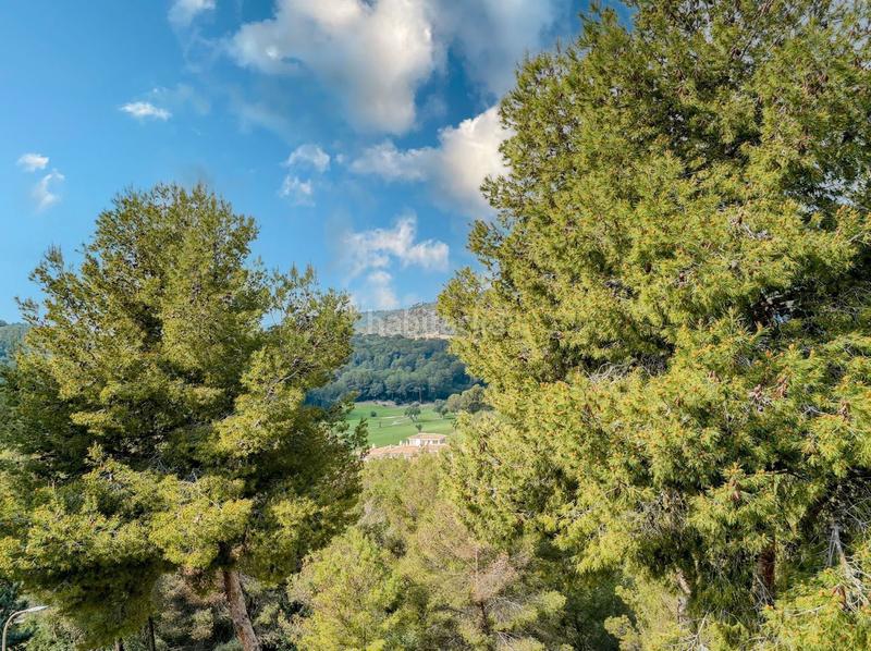 Foto eb4c7212-3db2-417c-90d9-4c8ccc88a3e6. Rent penthouse with pool in Cas Català-Illetes Calvià