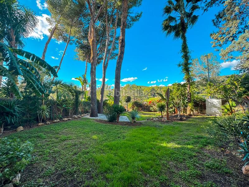 Foto 02a831f8-509e-425e-83fa-b8f8b9b7c397. Lloguer apartament amb piscina a Cas Català-Illetes Calvià