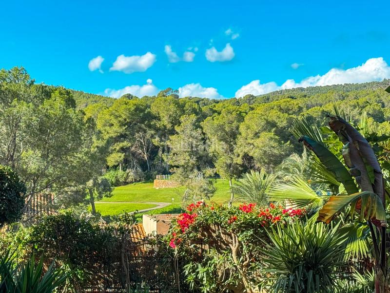 Foto 4749603b-057c-4d73-a470-c9198ffc9662. Lloguer apartament amb piscina a Cas Català-Illetes Calvià