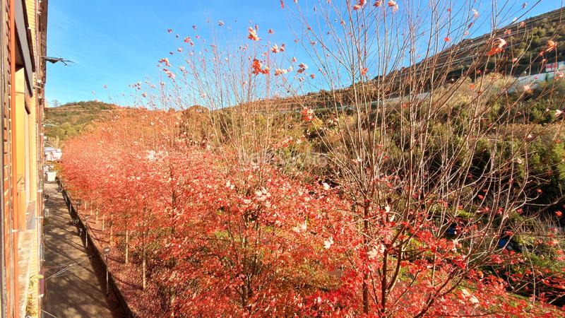 Foto 244008e5-da8f-4aa6-99ff-766f959f0479. Appartamento in orixe kalea 22 in San Ignacio-Elorrieta Bilbao