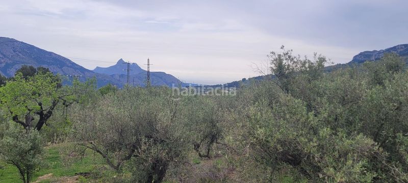 Foto 41e9fc59-2d4d-4a0f-aa61-bfd4c27b089e. Terreny residencial a Benifato