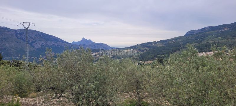 Foto 4dc521af-ce03-4ec1-a853-1b4695ba010f. Terreny residencial a Benifato