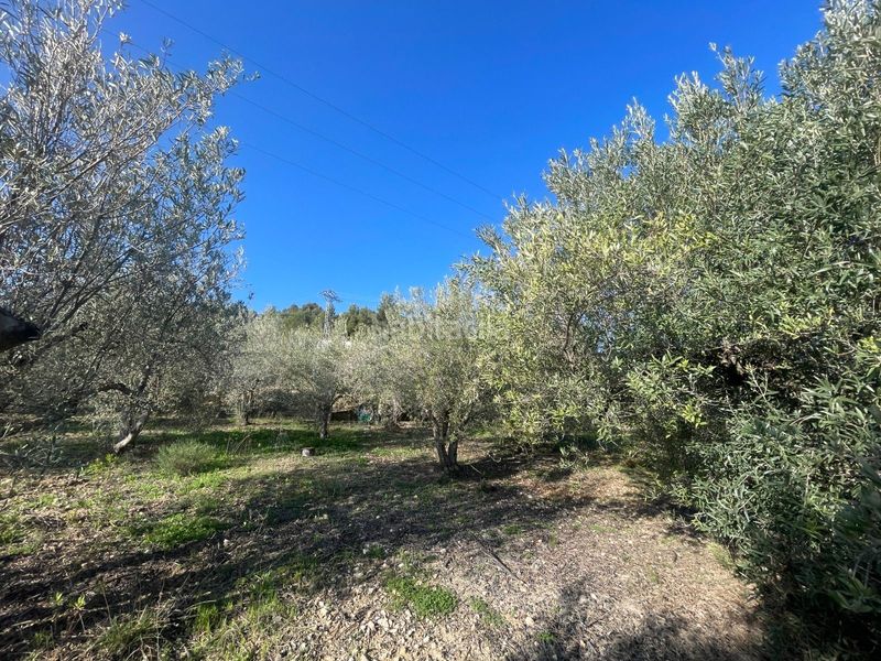 Foto 5871bb7d-417d-4891-ba27-247a1383063d. Terreny residencial a Benifato