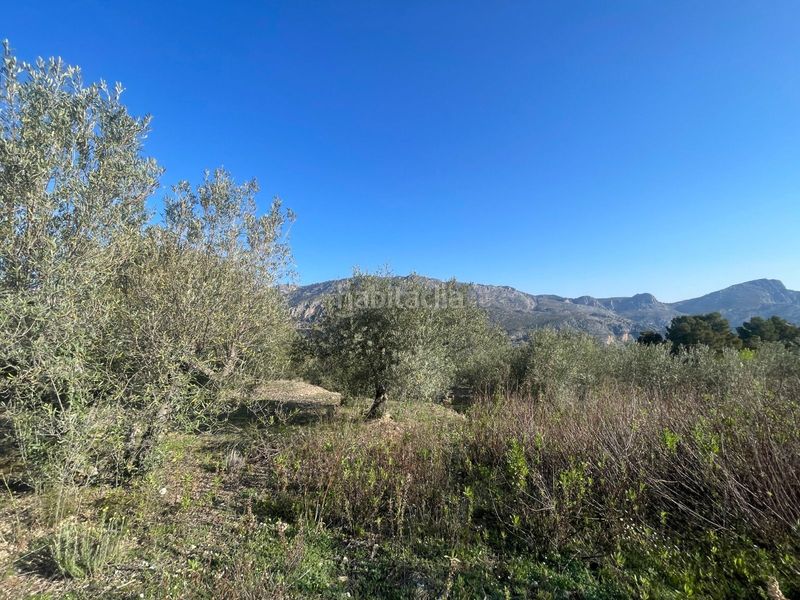 Foto 8e7e5ebb-c2af-4c7d-8bc4-4e304fcdf163. Terreny residencial a Benifato