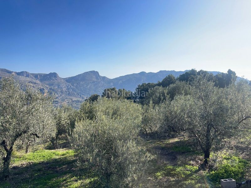 Foto ae600ff1-ca16-439a-94dc-48b4b11c857c. Terreny residencial a Benifato