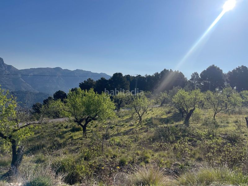 Foto b619eaa1-9bac-41b7-9fd1-eabba8ccbf00. Terreny residencial a Benifato