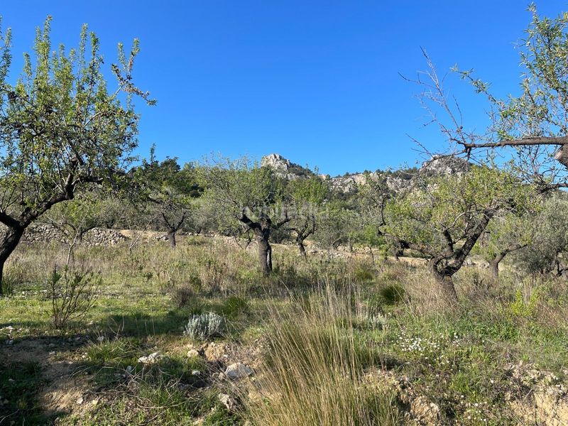 Foto f4864aa1-a368-4d91-ad54-dab41f72e1f6. Terreny residencial a Benifato