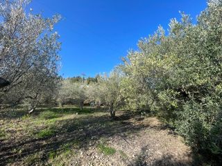 Terreno residenziale in Benifato