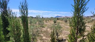 Terreny residencial a L´Olla