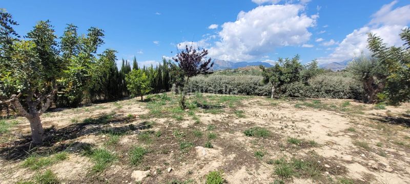 Foto 4e53e19e-aa84-40f0-90de-7d428a79ee3d. Terreny residencial a L´Olla Altea