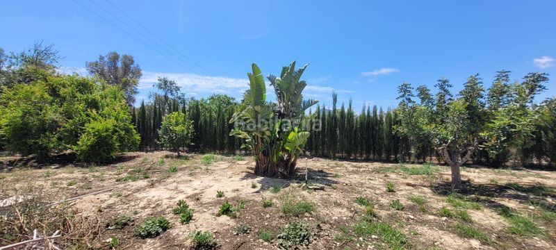 Foto c60657bf-07a8-4b9b-b9e9-4da16d9a09dd. Terreny residencial a L´Olla Altea