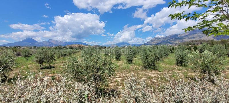 Foto ef804523-5e8f-455a-9752-489f6c0e54dd. Terreny residencial a L´Olla Altea