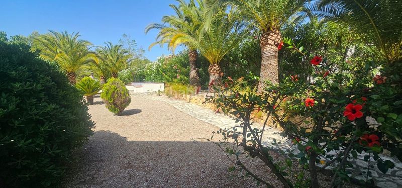 Foto 7b5e2ed5-5230-4063-825c-6421f95f26f2. Casa amb piscina a Altea la vella Altea