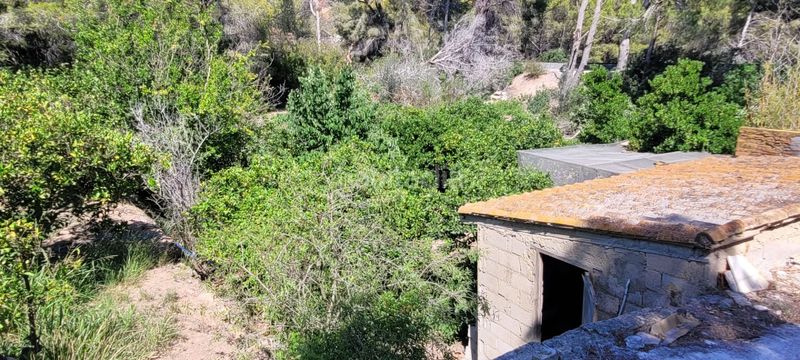 Foto 0e1d966d-ada2-48f4-b5df-142cdb6e060f. Masia a Mascarat Altea