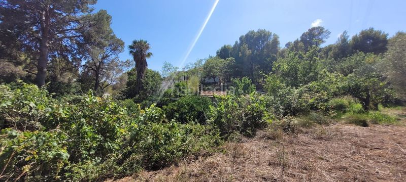 Foto 73574fb7-c3aa-40fc-a9ab-153064a22142. Masia a Mascarat Altea