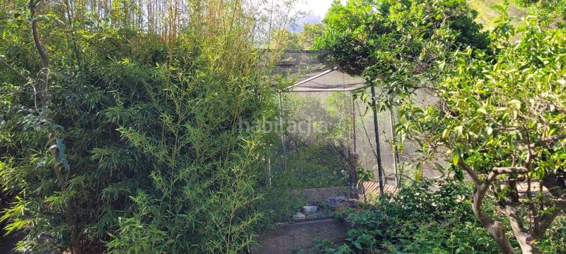 Foto c7c35c6e-b2c1-4728-a52c-d5a854c394e7. Masia a Mascarat Altea