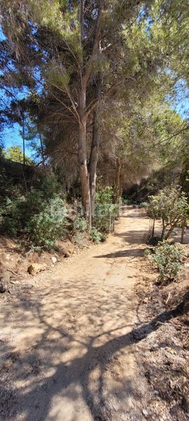 Foto d6814c7f-02c9-4e86-b9ab-6fd4ac823b90. Masia a Mascarat Altea