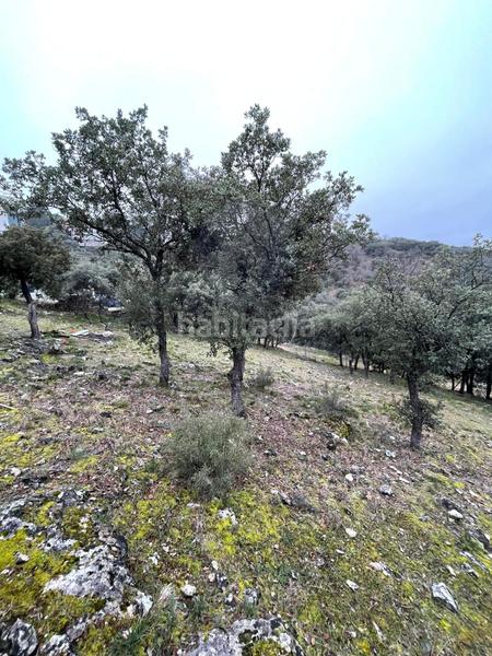 Foto 2c03b4ad-9e16-40e7-bfed-2409c801236b. Terrain résidentiel dans Cotos de Monterey