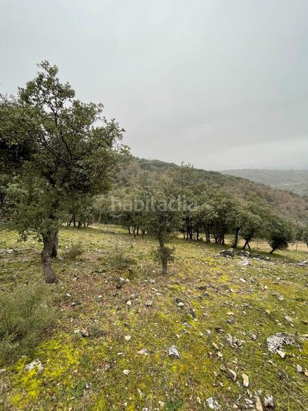 Foto 99756cfd-dc89-45cd-bc02-6f850d1b952c. Terrain résidentiel dans Cotos de Monterey