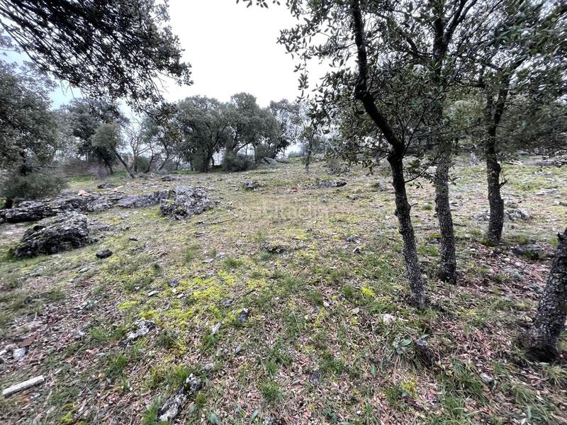 Foto 9c714e1e-4087-4b9b-acfa-409b952bbe3c. Terrain résidentiel dans Cotos de Monterey