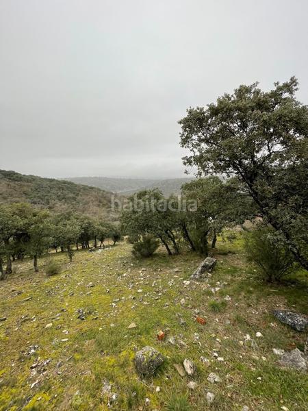 Foto dcd9b0b9-54be-45bd-94b0-22a08a0bfdab. Terrain résidentiel dans Cotos de Monterey