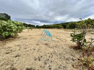 Terreny residencial a Puig balitra. Palamósterreno