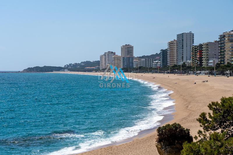 Foto 55174699-b9d5-47dc-bb38-e30f50b68e4c. Piccolo appartamento in passeig maritim 166 in Centre-Platja Platja d´Aro