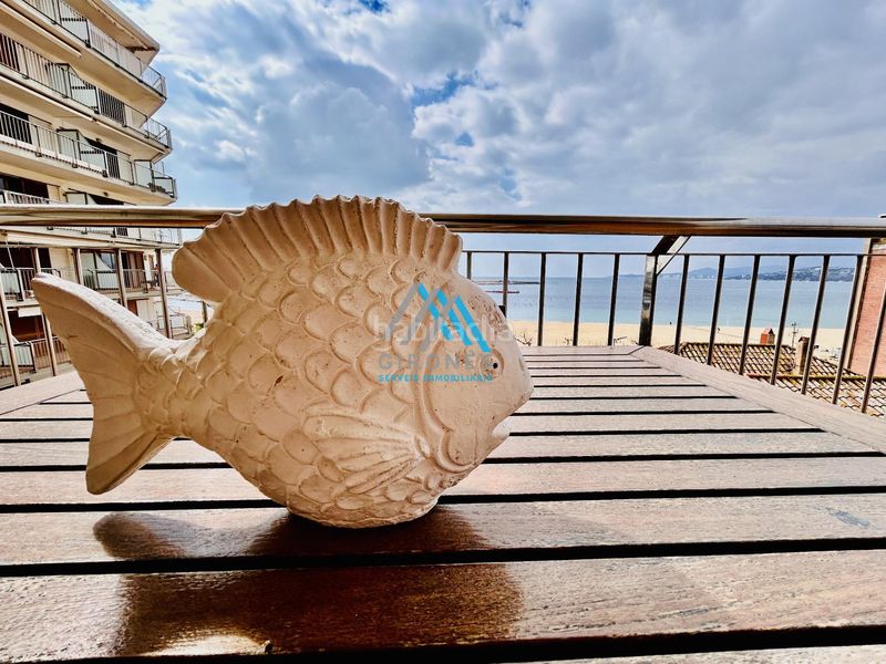 Foto 83c137f6-b3f9-497f-a4ae-129c95a11fff. Apartamento  en Platja Gran Palamós