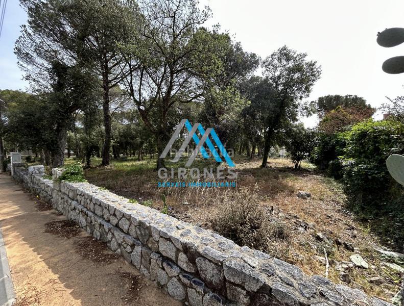 Foto 6d4b3c9f-741b-4d14-83a3-ba2bc4ceb18d. Terreno residencial en hortensia terreno en Llagostera