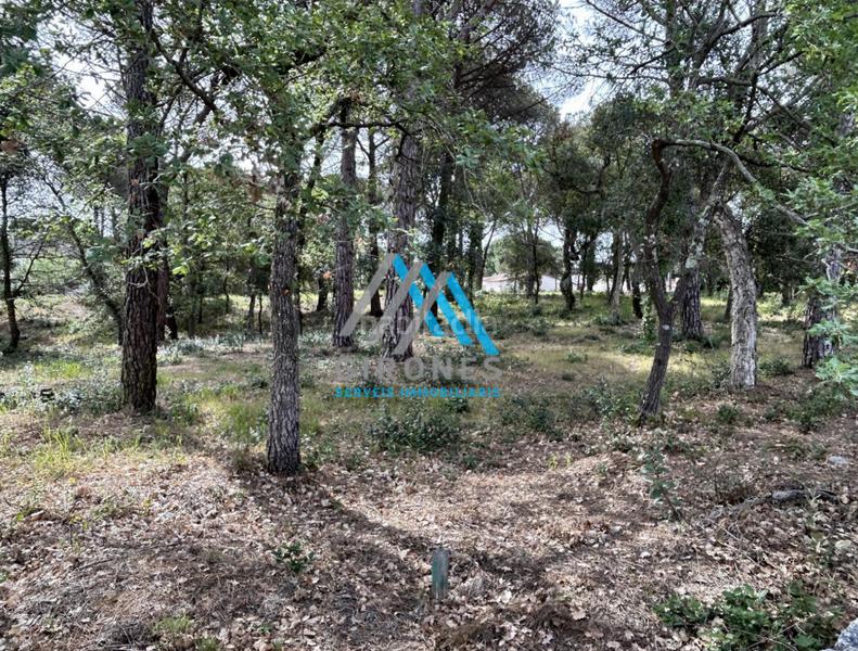 Foto cd30ee92-2862-4720-b297-e4c19b308856. Wohngrundstück in hortensia in Llagostera