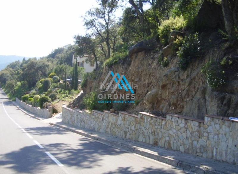 Foto 4fdde07d-3a8a-424a-923e-6e1c10a4cce1. Terreny residencial a paris a Cabanyes-Mas Ambrós-Mas Pallí Calonge