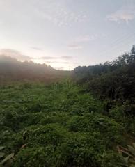 Propriété  Carretera a la esperanza. Venta de terreno en la esperanza.