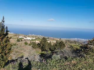 Finca rústica en Avenida villa de arico 11. Venta de terreno rústico en la montaña (arico).