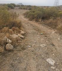 Finca rústica  Calle granadilla. Venta de terreno rústico en el desierto, granadilla de abona.