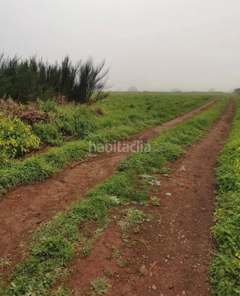 Foto 4168dcf8-20f1-4c8c-abe7-35c06e87b589. Finca rústica a tf-24 86 a La Esperanza - Llano del Moro Rosario (El)