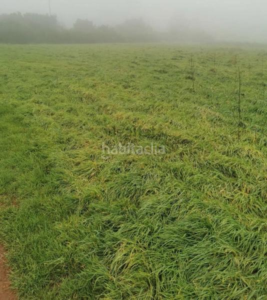 Foto 63abb6de-eca0-4444-ba3d-be4494ba598a. Finca rústica a tf-24 86 a La Esperanza - Llano del Moro Rosario (El)