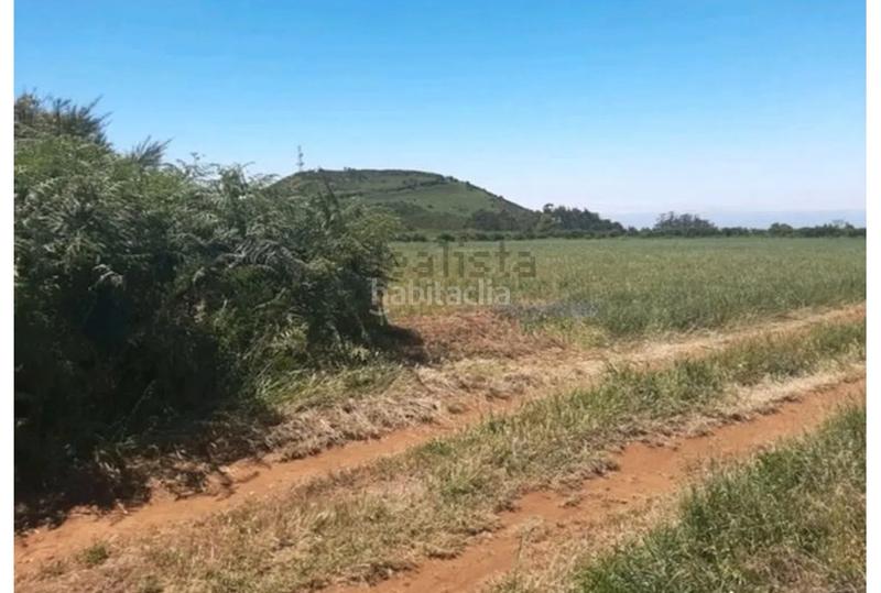 Foto 99987d5b-a8c0-4a34-b042-b6c497bcdd38. Finca rústica a tf-24 86 a La Esperanza - Llano del Moro Rosario (El)